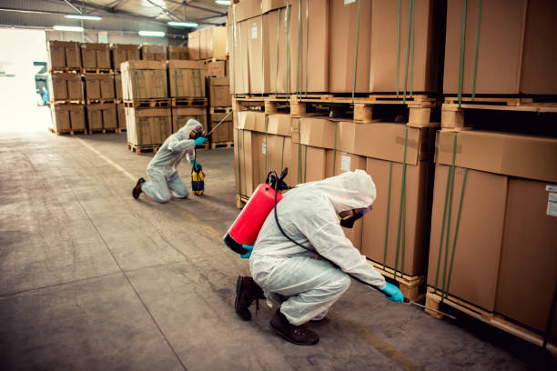 Best Cockroach Control Services  in Enfield, NC