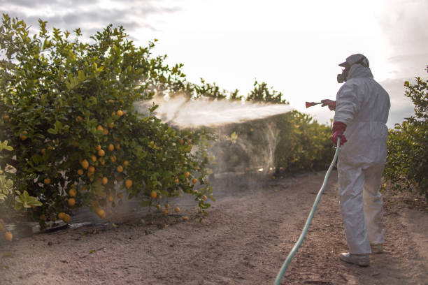 Best Pest Removal Services  in Enfield, NC