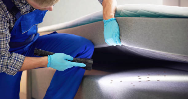 Best Emergency Pest Control  in Enfield, NC